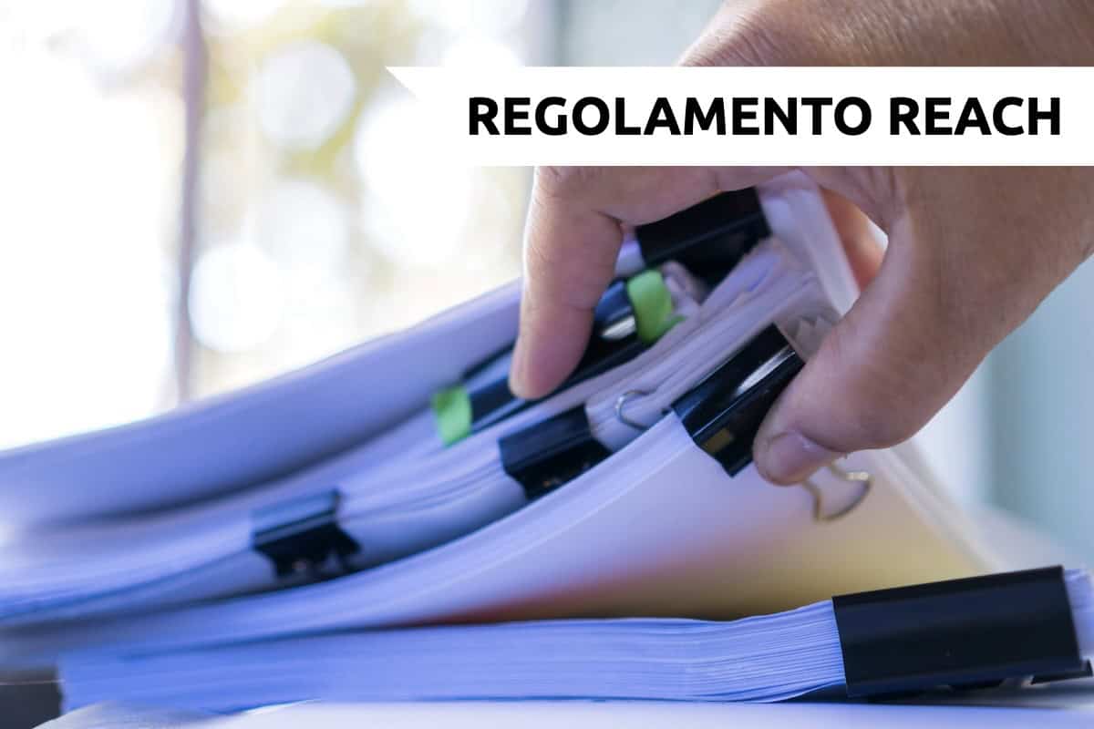 Modalità e tempistiche per la fornitura delle SDS