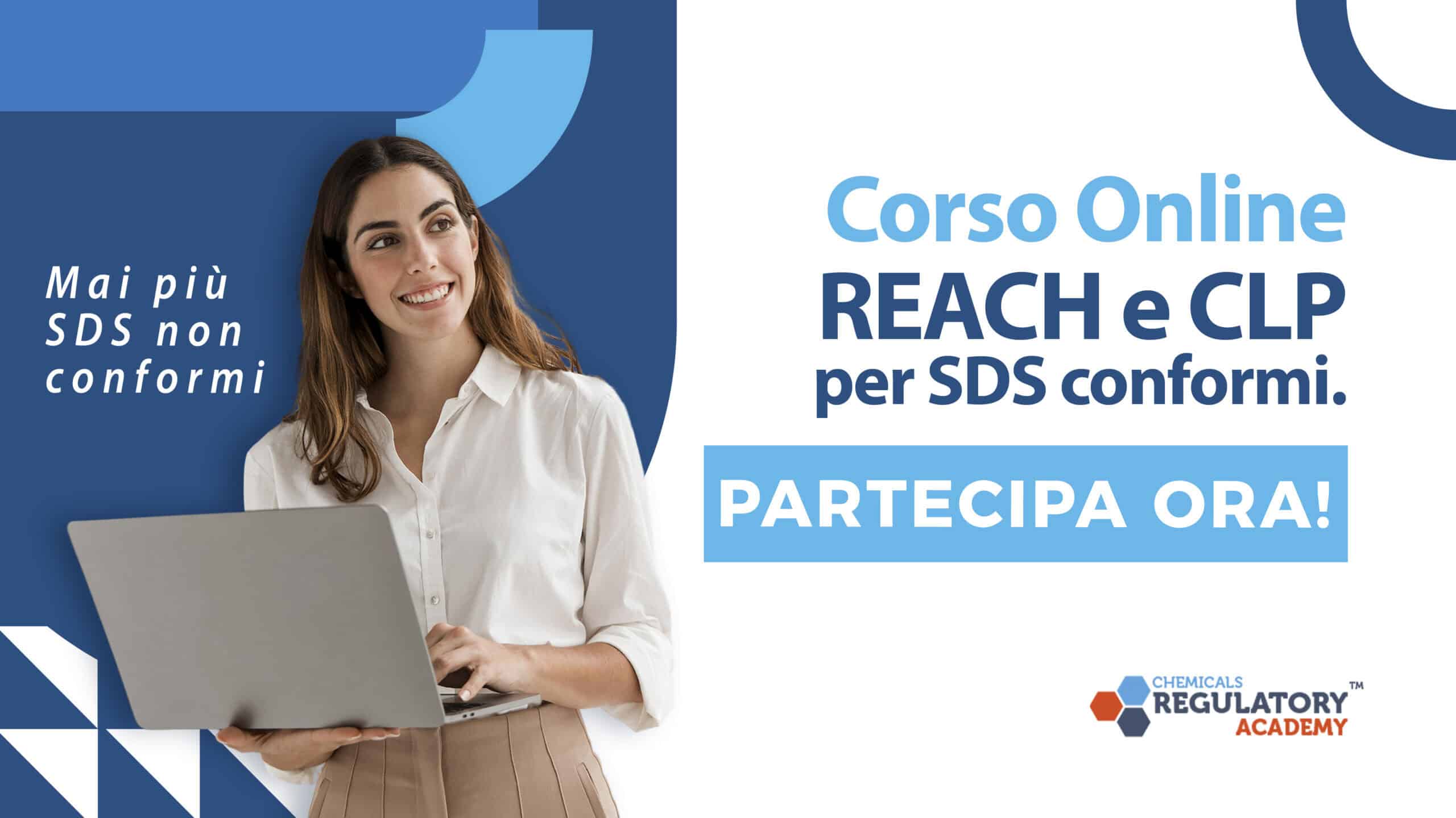 corso online reach